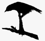 Logo de Poètes de brousse