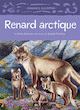 Renard Arctique